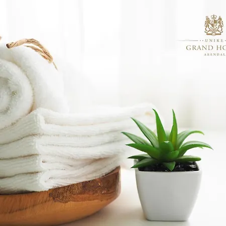 Отель Grand - Unike 4*